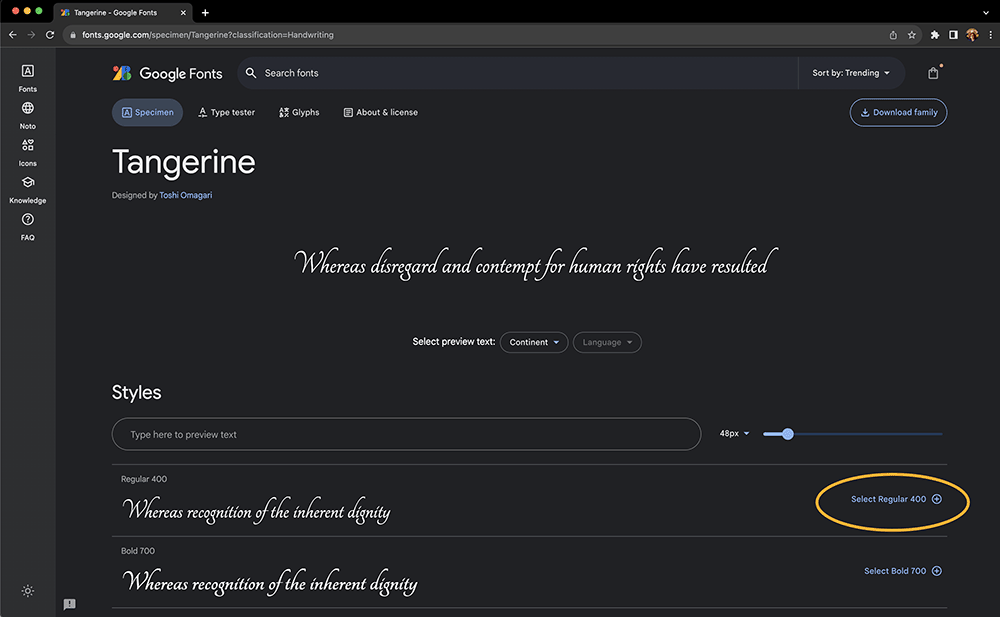 Google fonts screen capture along with the font family name