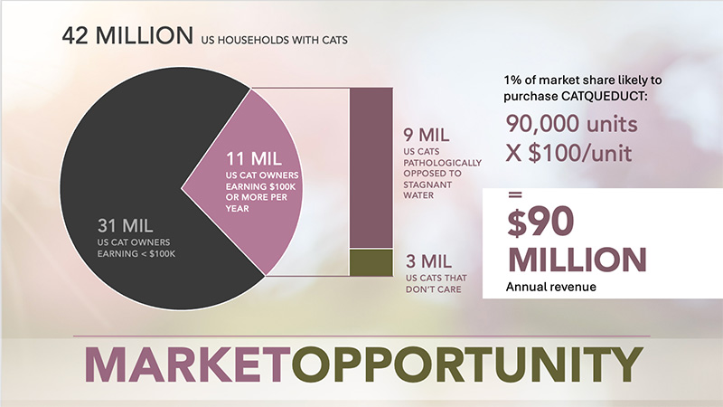 how to pitch presentation: the market opportunity slide (example)