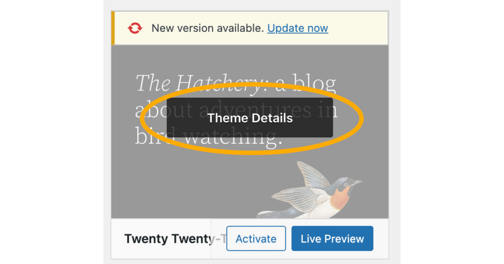 Theme details in WordPress CMS (screenshot)